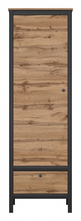 Шкаф для белья Лофт reg1d1s