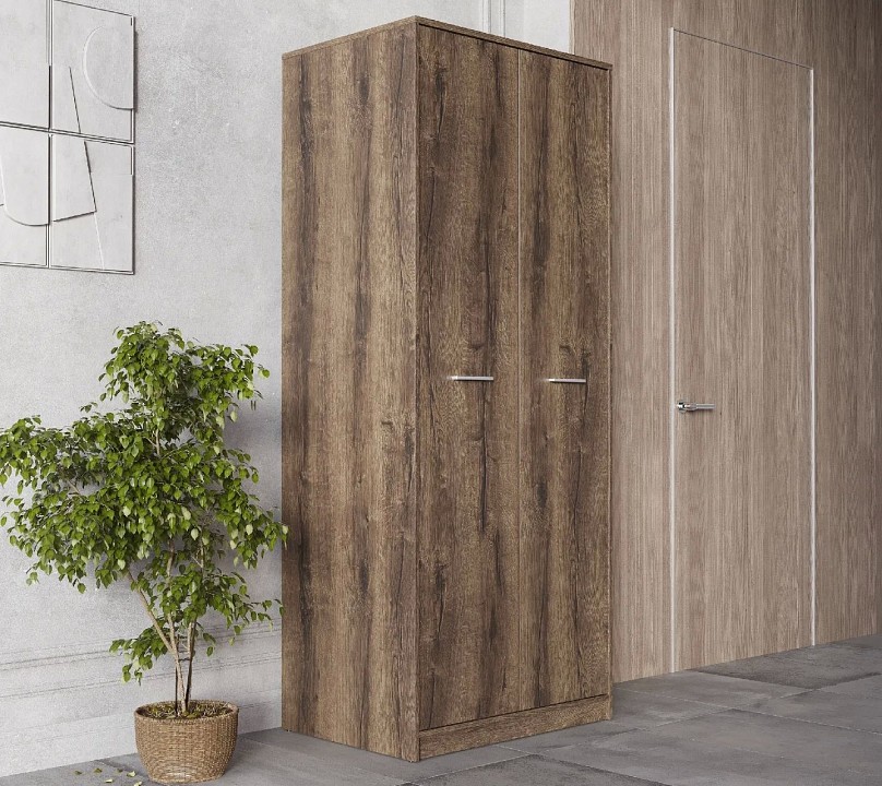 Шкаф платяной Непо szf2d