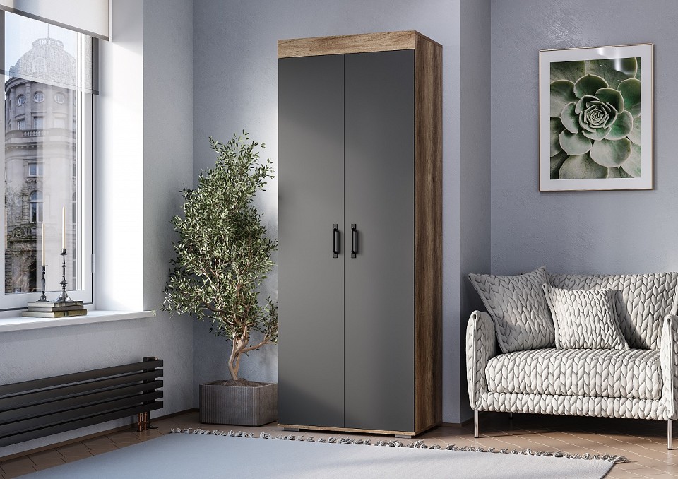 Шкаф платяной Прима ШК-03