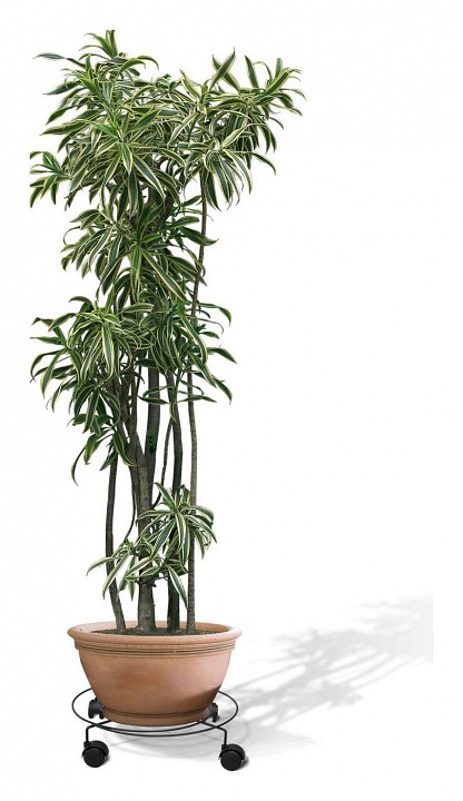 Подставка для цветов Пальмина 3